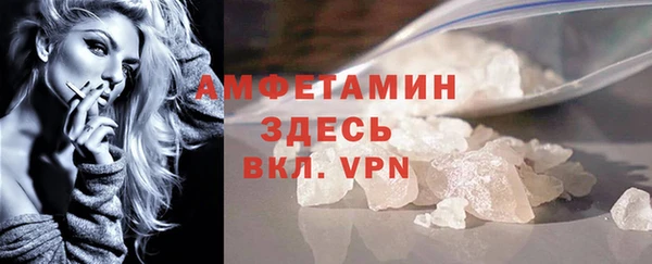 прущие грибы Надым
