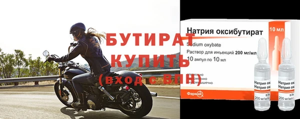 прущие грибы Надым
