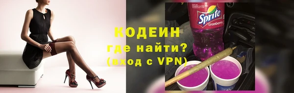 прущие грибы Надым