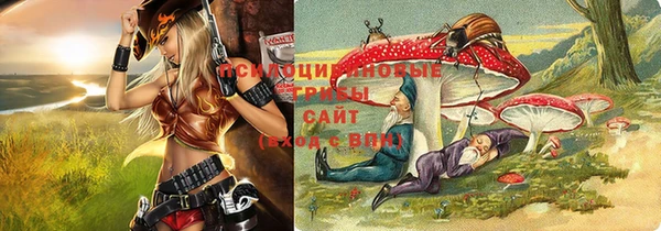spice Михайловка