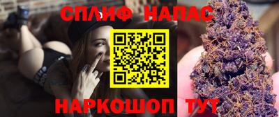 ECSTASY Гай