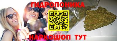 ECSTASY Гай