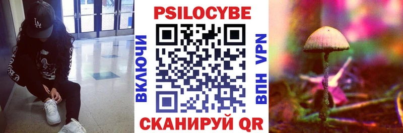 Галлюциногенные грибы Psilocybe  Алексин 