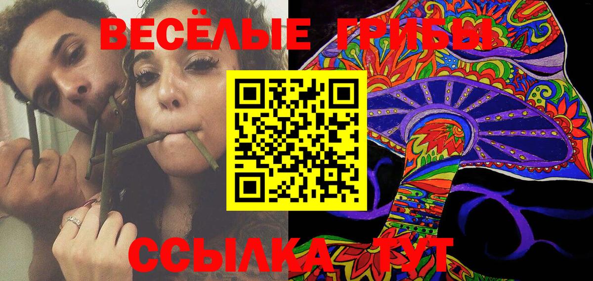 цена   Вход с VPN  Алексин  Галлюциногенные грибы Psilocybine cubensis 