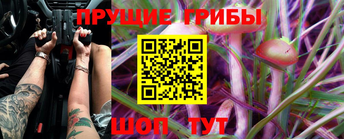 Псилоцибиновые грибы мухоморы Алексин