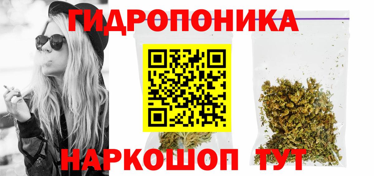 Бошки марихуана Bruce Banner  Вход с VPN  Конопля индика  Алексин  Бошки марихуана конопля 